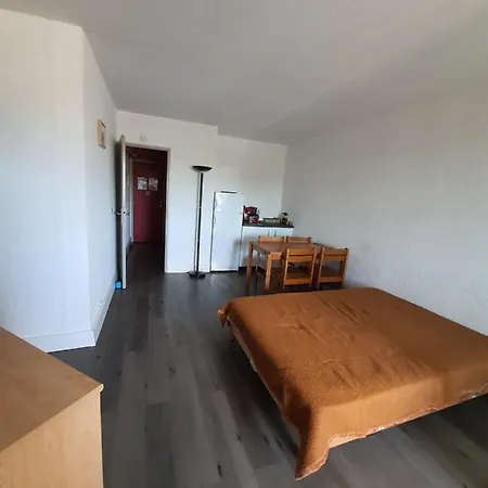 Studio Le 233 Port Camargue, Piscine, 4 Personnes Apartment *